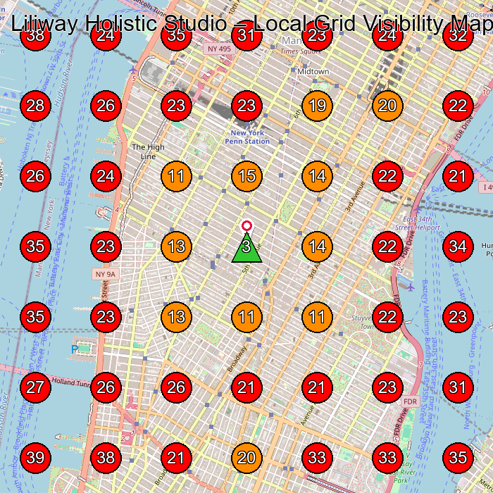 Liliway Holistic Studio GeoGrid visibility map for Health Spa in New York